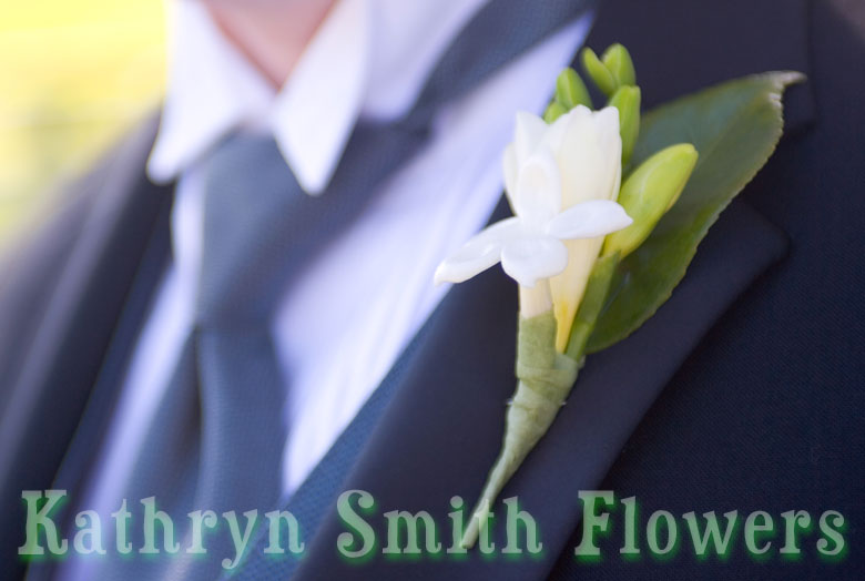 Click on this picture to view the next picture