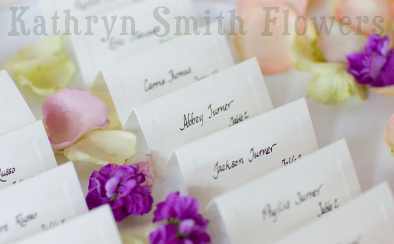 Click on this picture to view the next picture